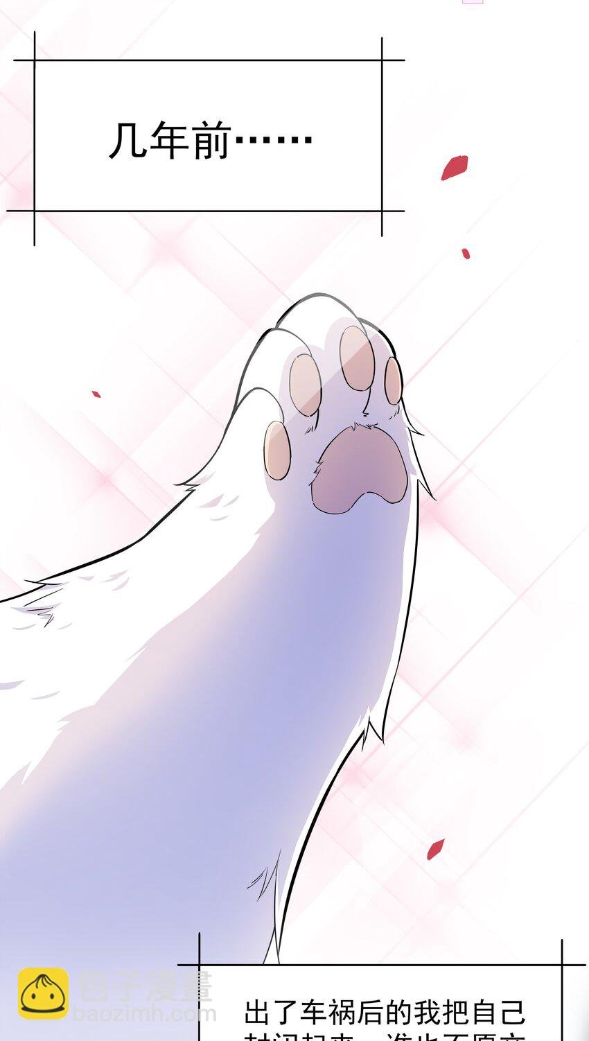 019 欢迎回家
