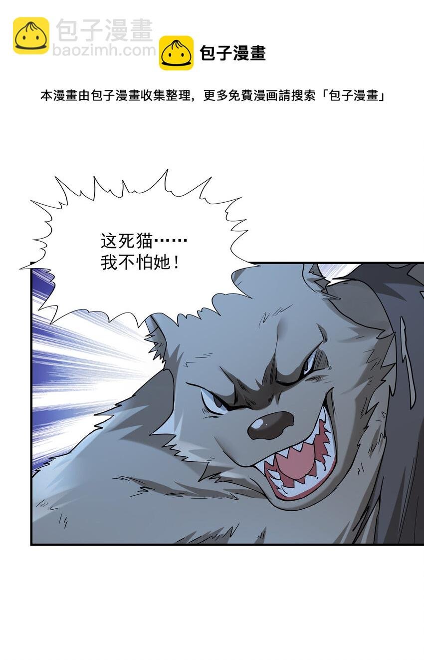 2 神秘猫女