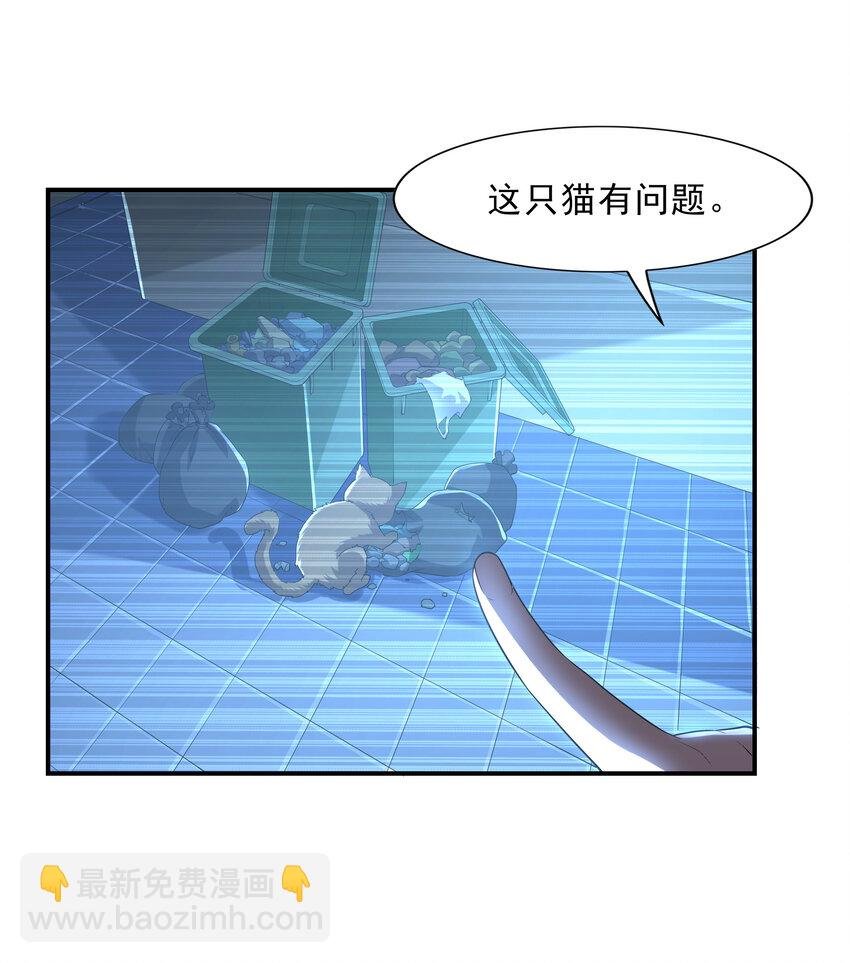 2 神秘猫女