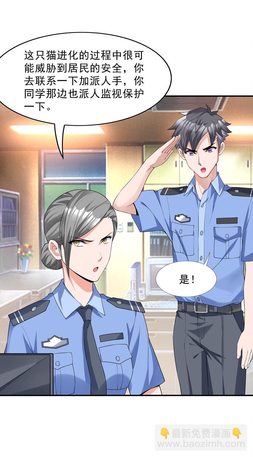 2 神秘猫女