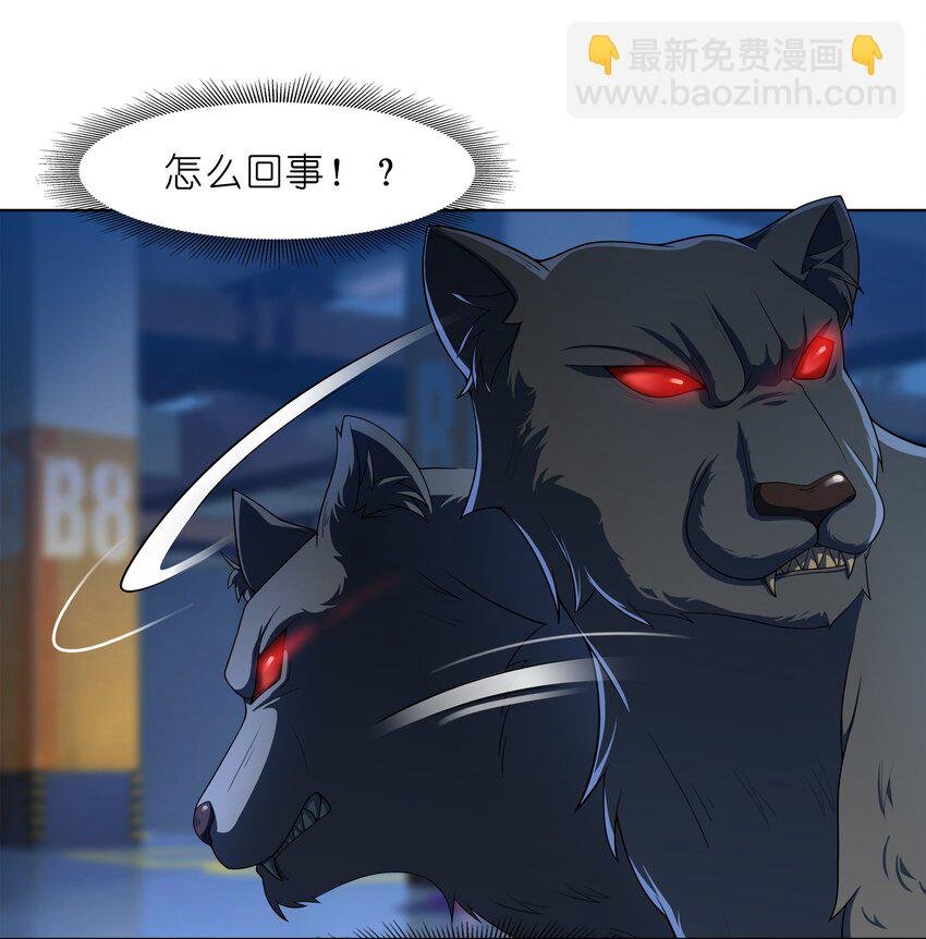 028 保护我方水晶