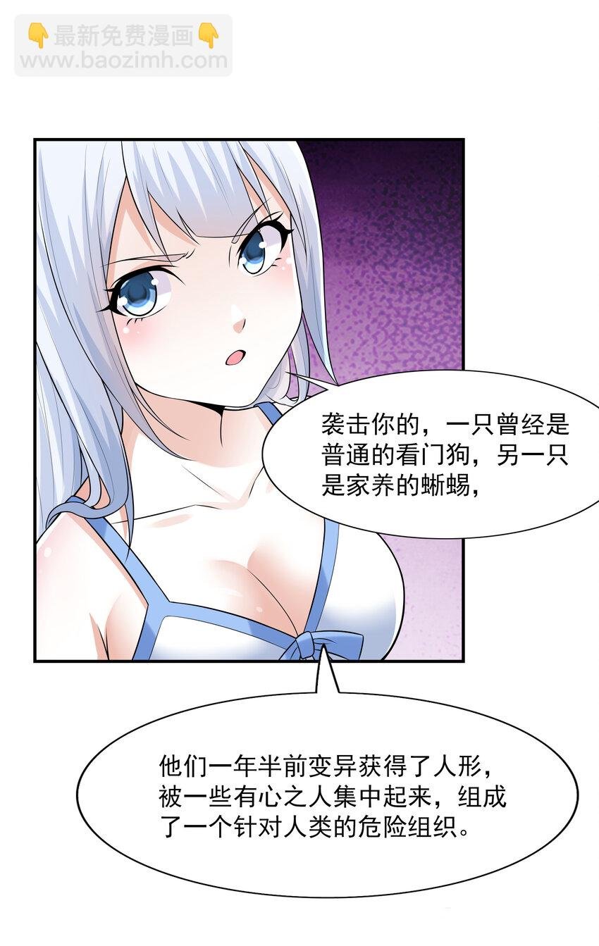 3 这个世界真的有兽耳娘