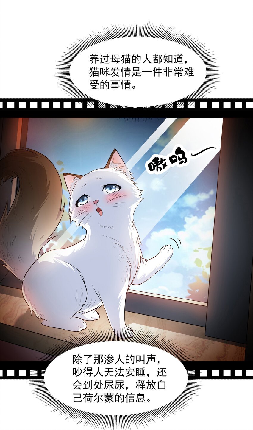 4 我的猫变成了美女