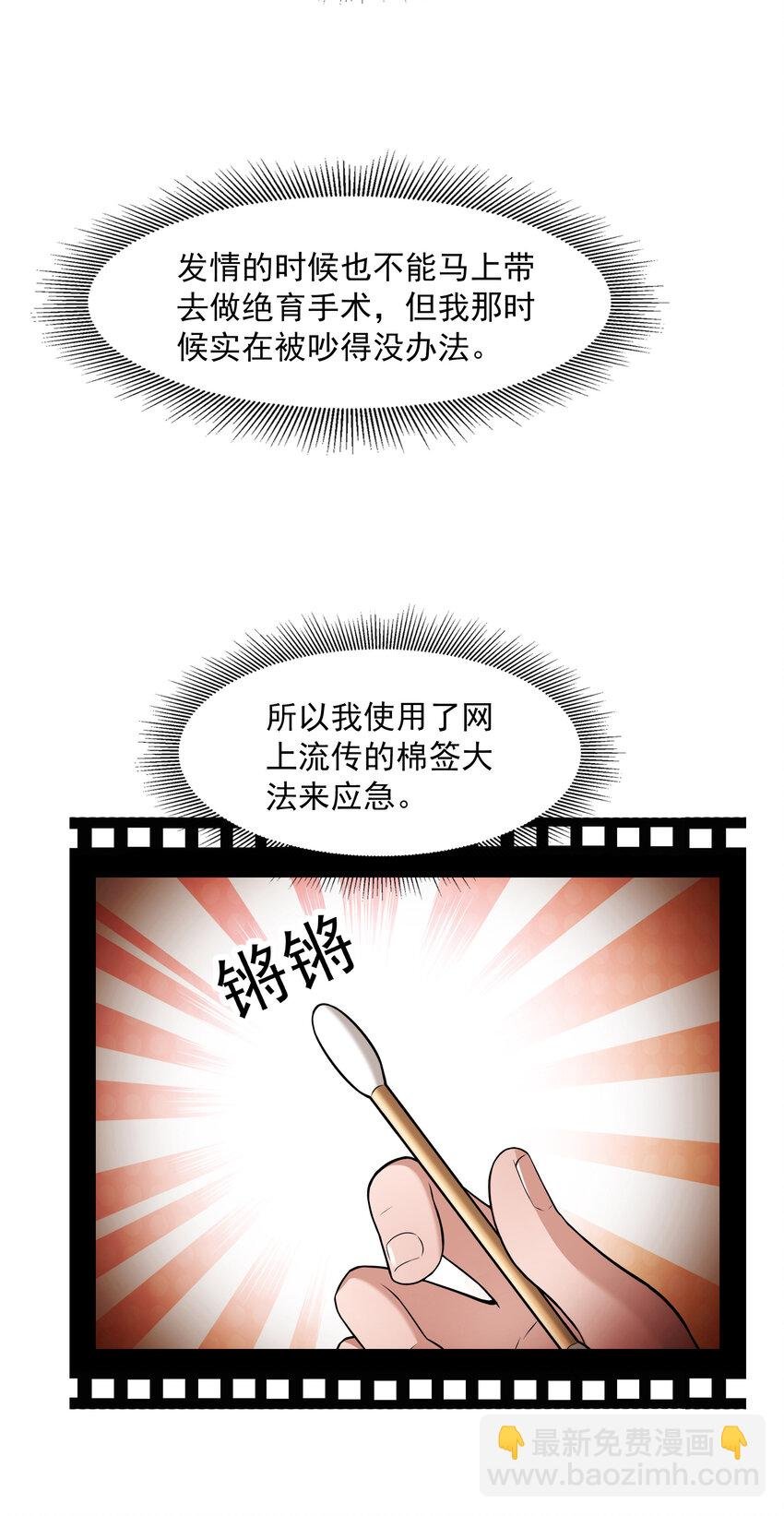 4 我的猫变成了美女