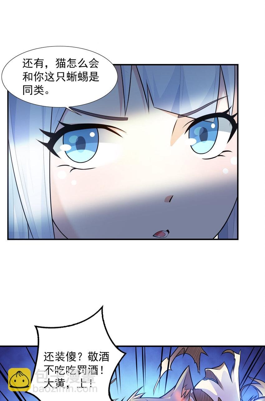 4 我的猫变成了美女