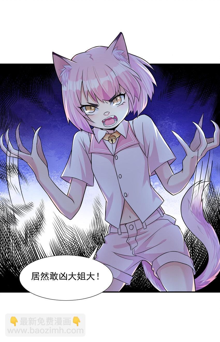 4 我的猫变成了美女