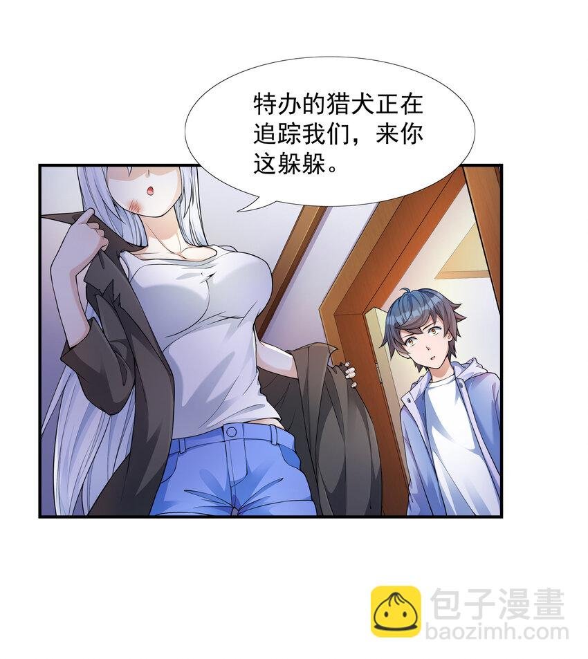 4 我的猫变成了美女