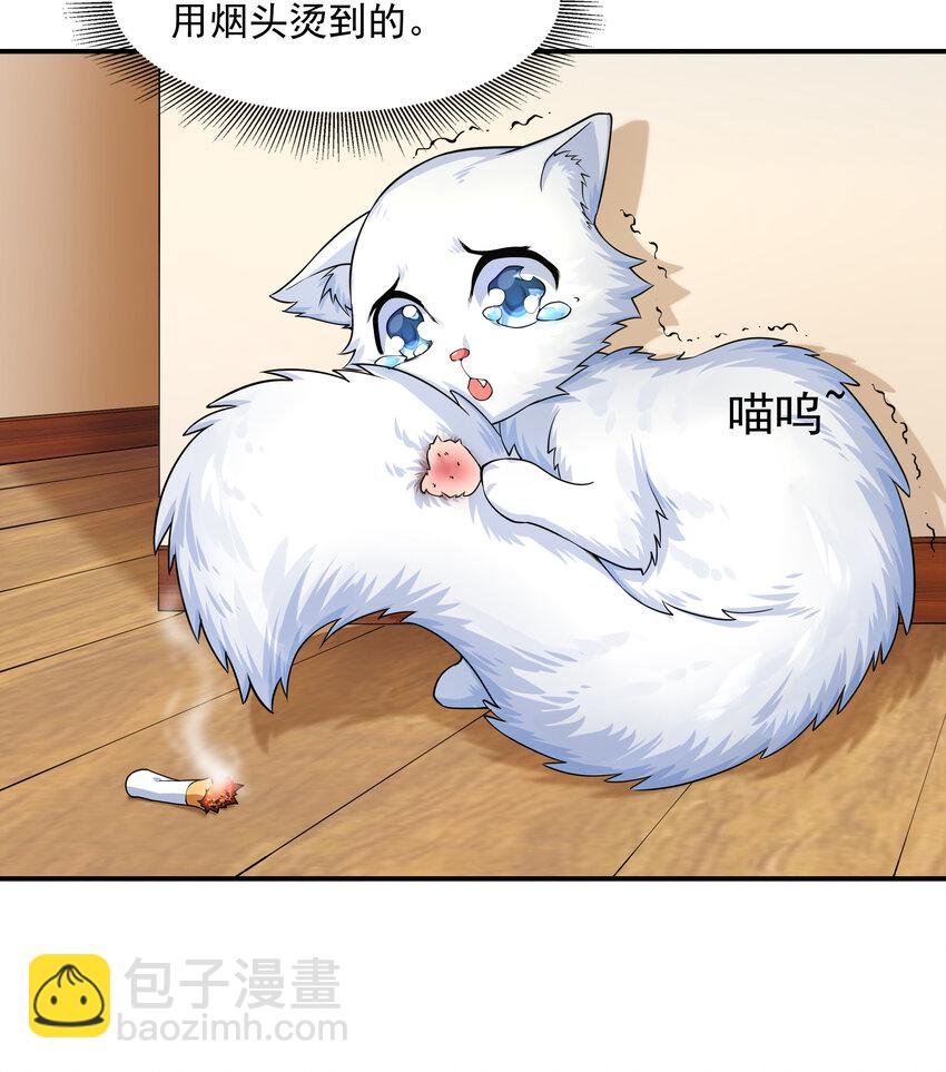 4 我的猫变成了美女