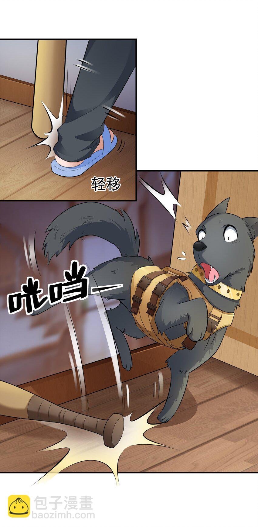5 不走寻常路的猫