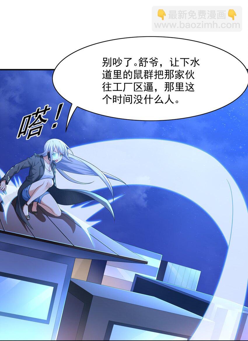 7 这猫真大
