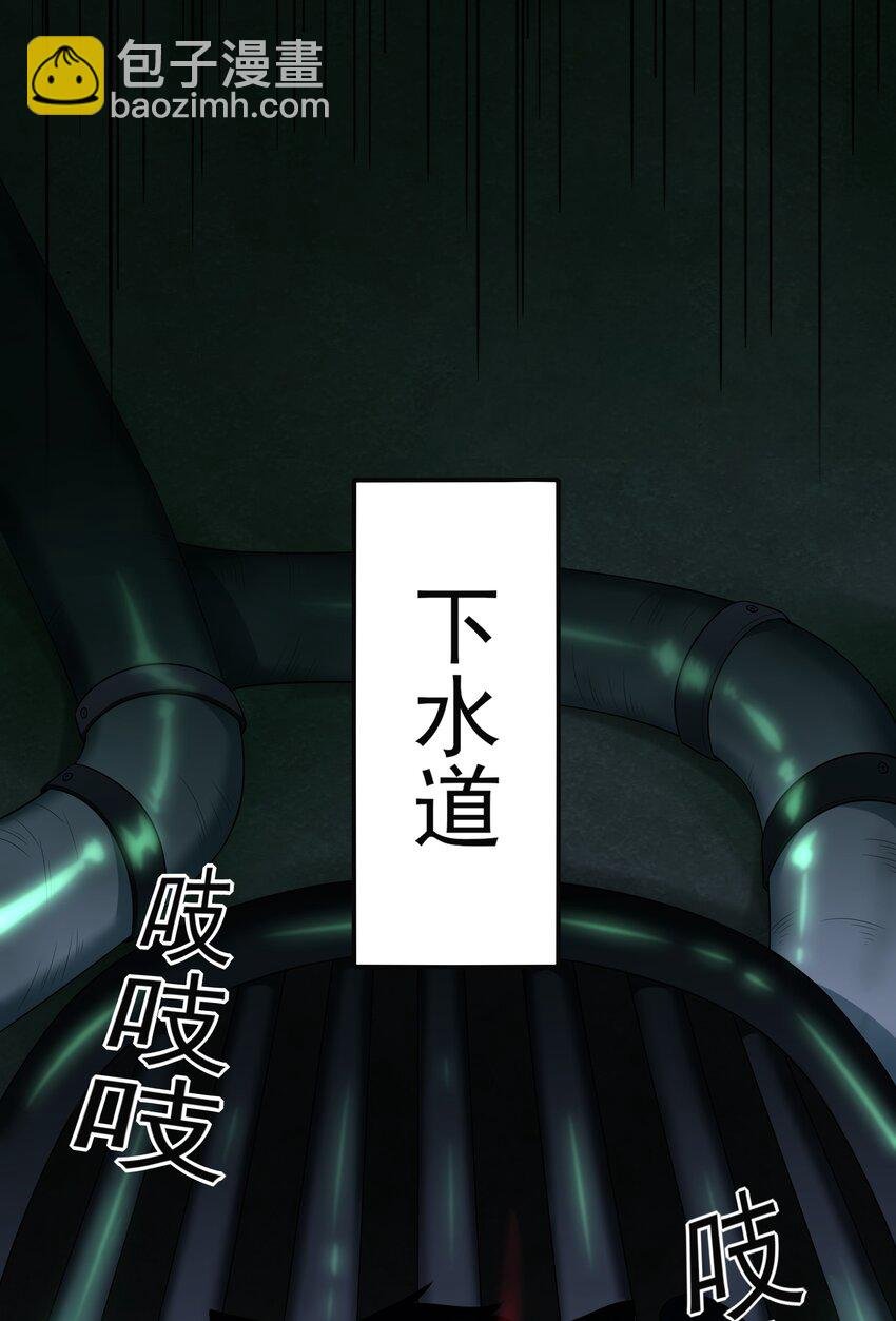 7 这猫真大