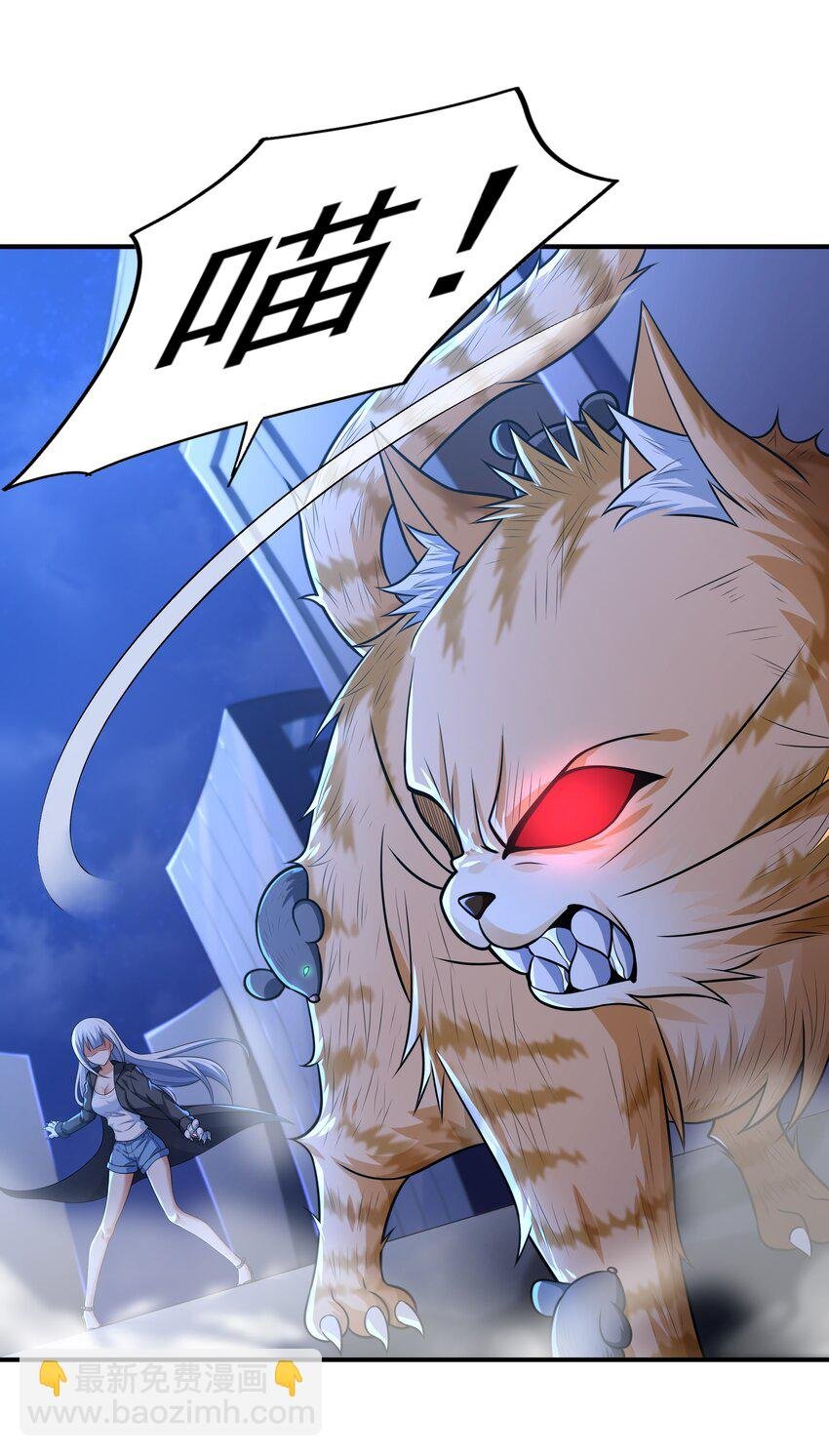7 这猫真大