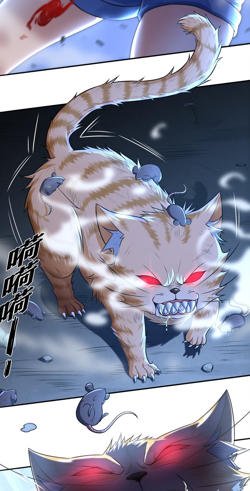 7 这猫真大