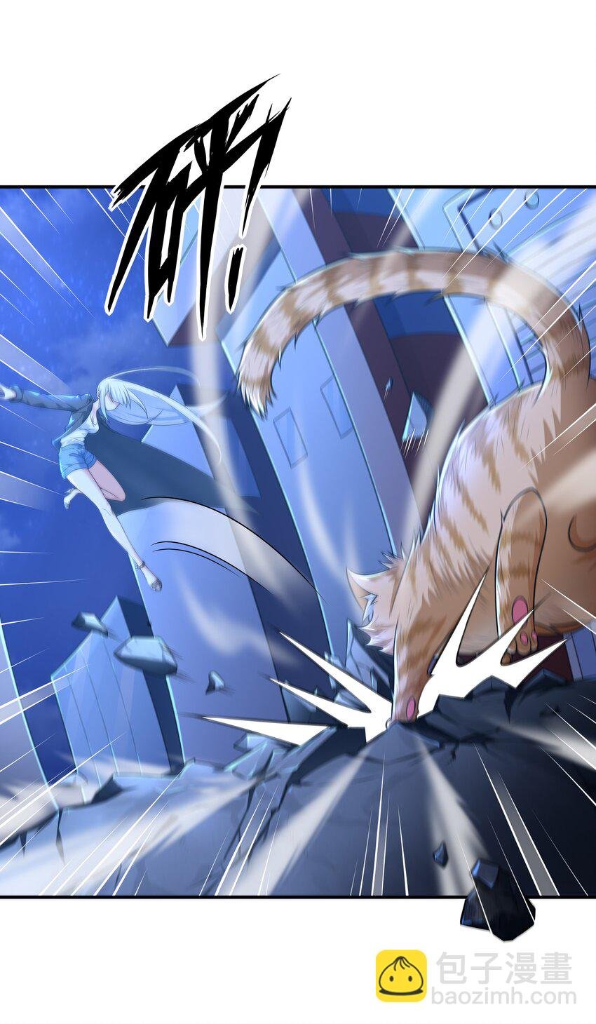 7 这猫真大