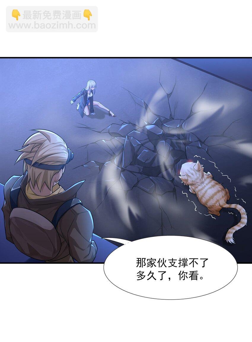7 这猫真大