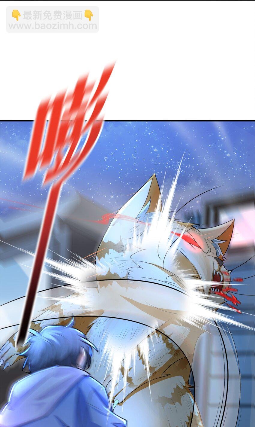 8 逗猫棒