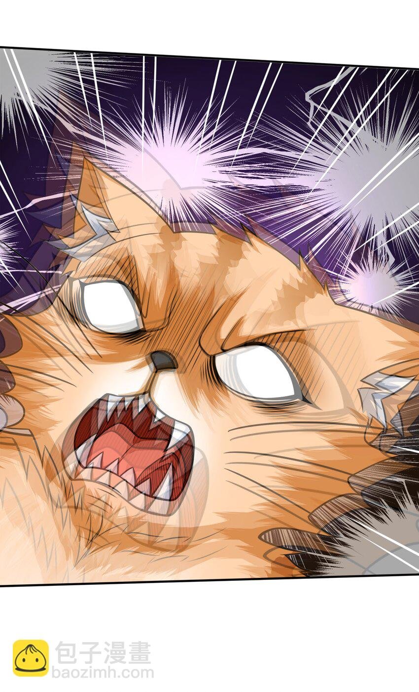 8 逗猫棒