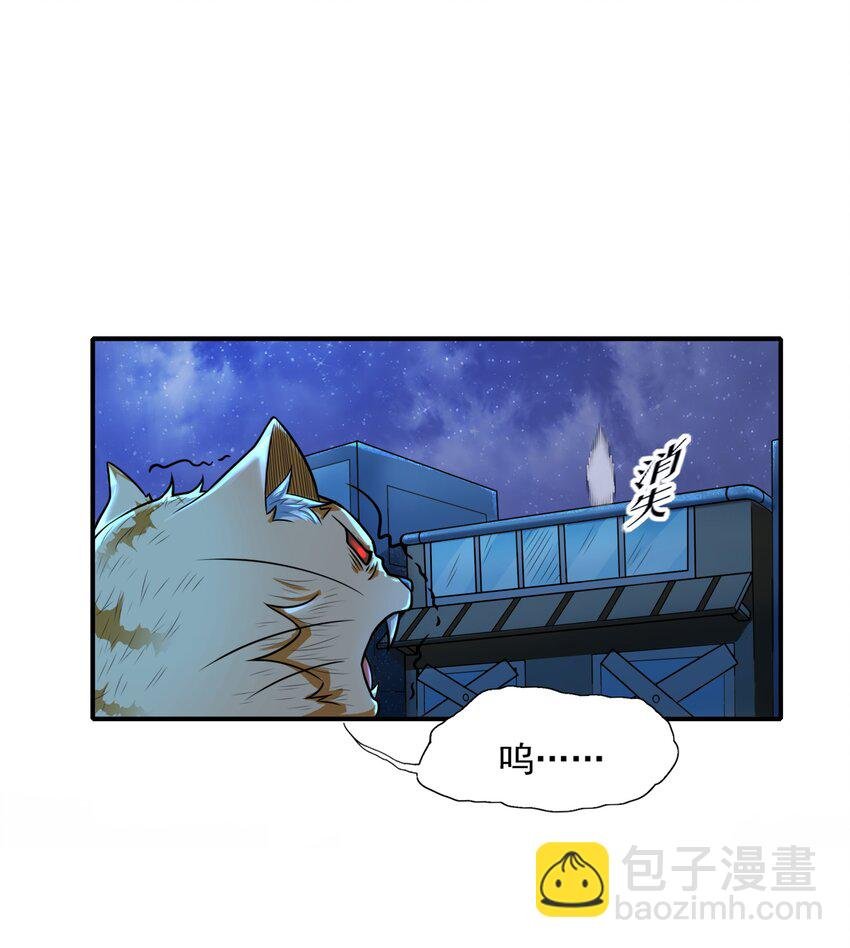 8 逗猫棒