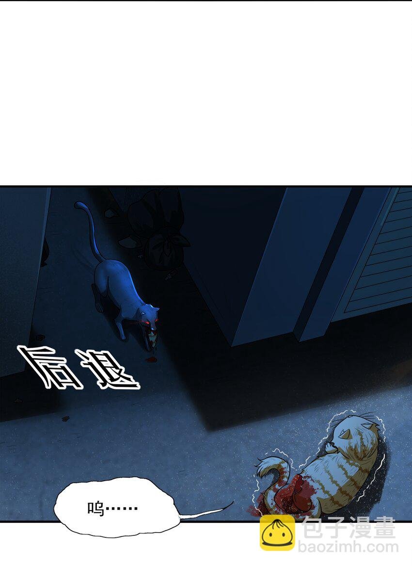 8 逗猫棒