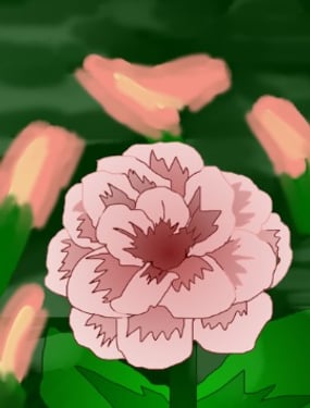 wuliandianfeng-pikapi