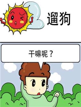 wuliandianfeng-pikapi