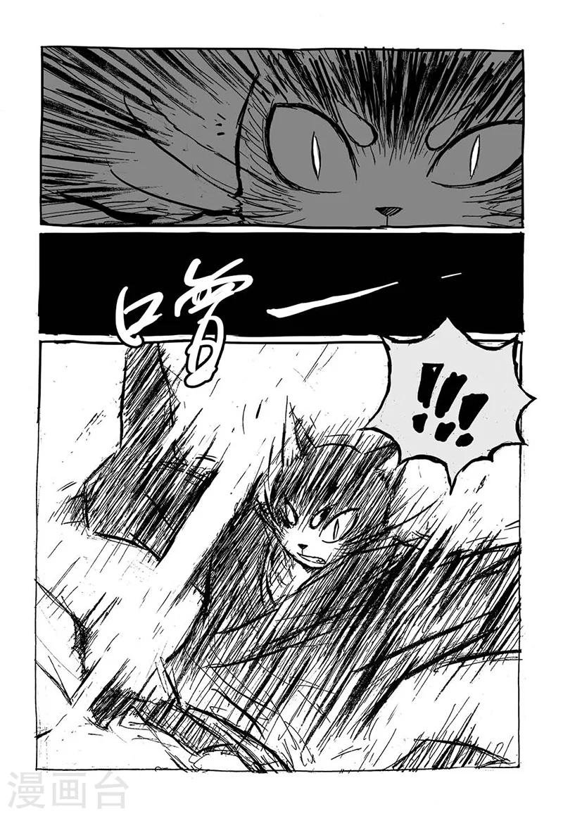 第5话1 猫妖VS术士