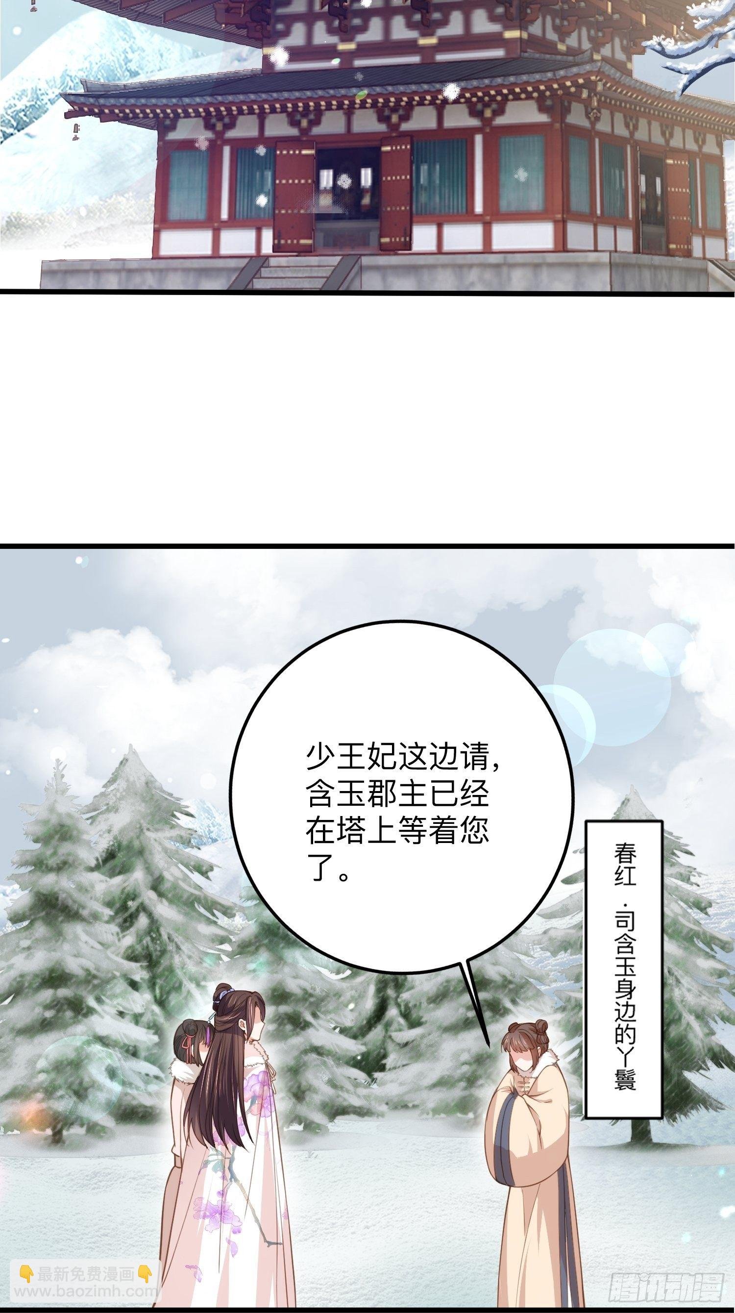 第124话 少王妃杀人了！