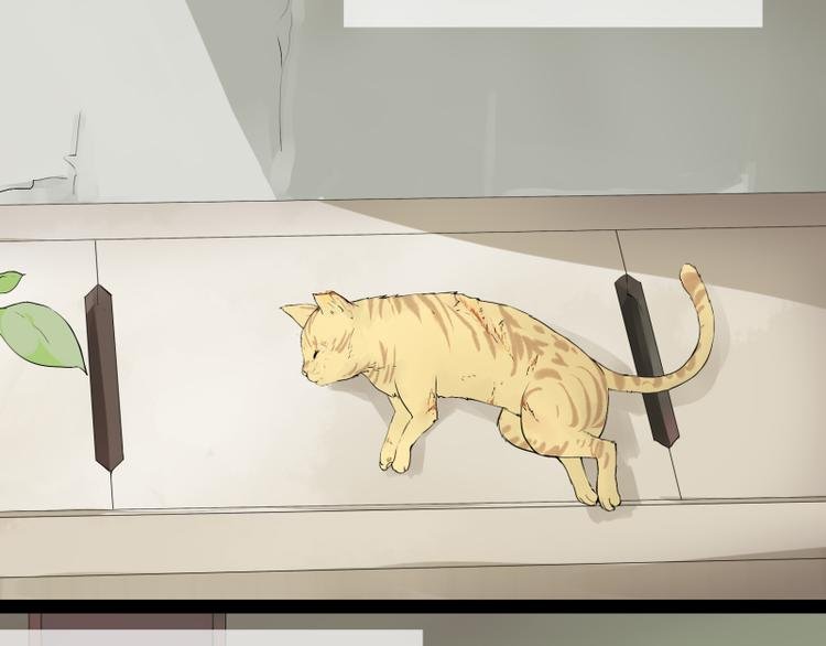 第1话 猫的报恩