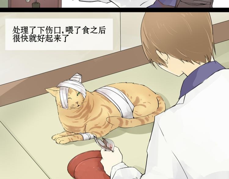 第1话 猫的报恩