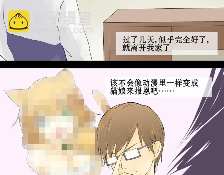 第1话 猫的报恩