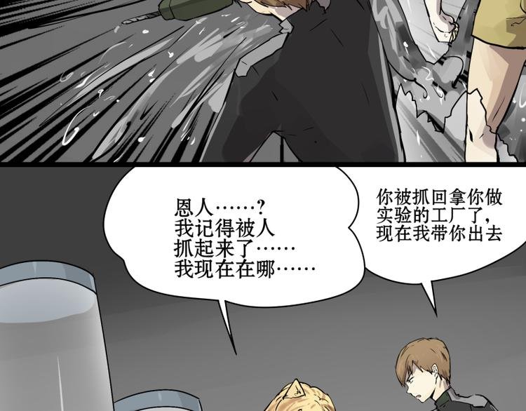 第15话 人形喵的混战