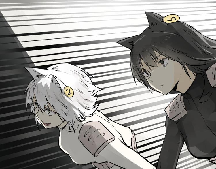 第15话 人形喵的混战