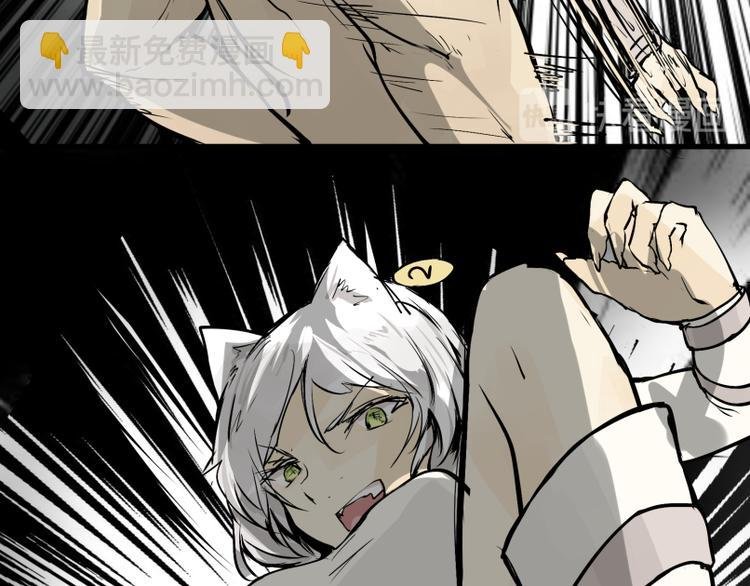 第15话 人形喵的混战