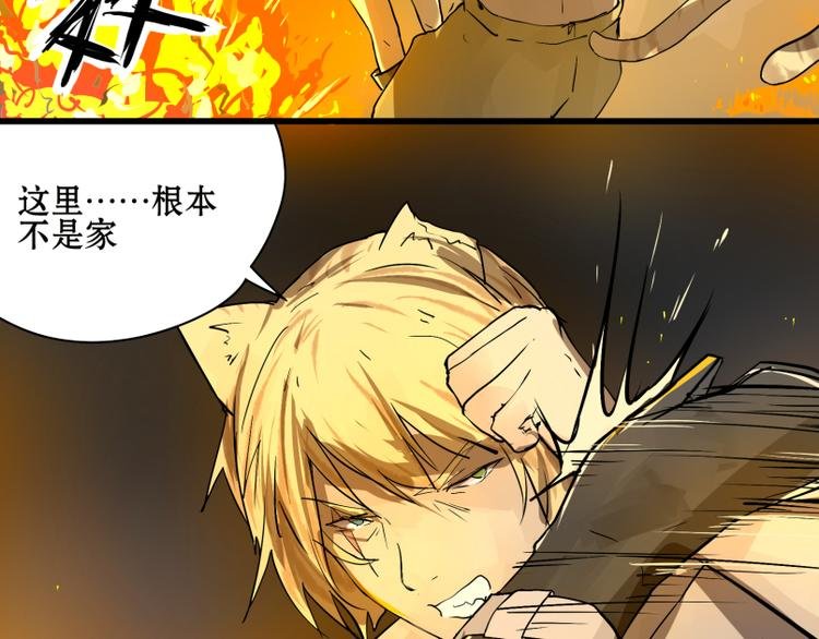 完结篇：猫，我不想失去你！