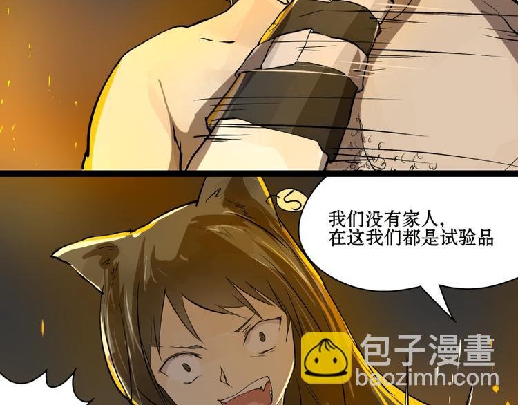 完结篇：猫，我不想失去你！