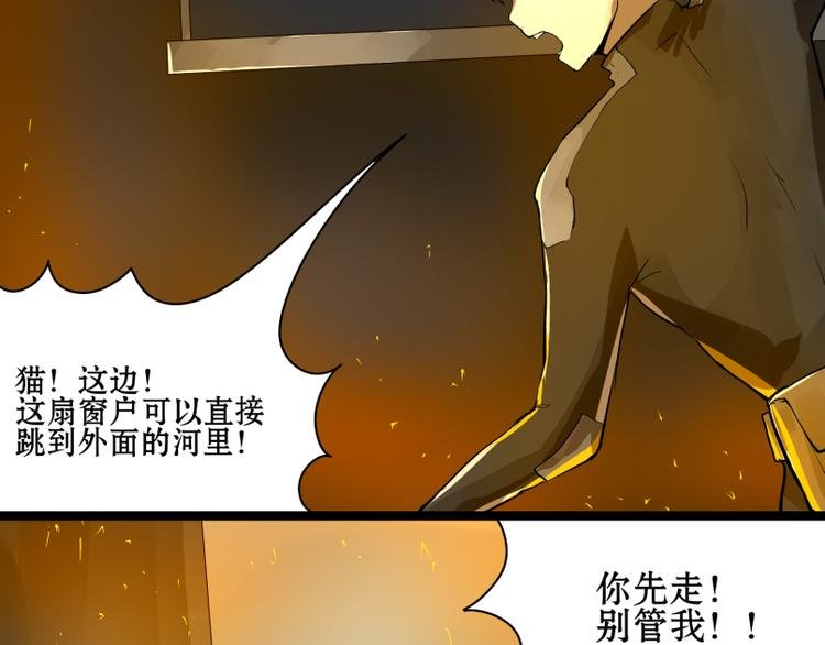 完结篇：猫，我不想失去你！