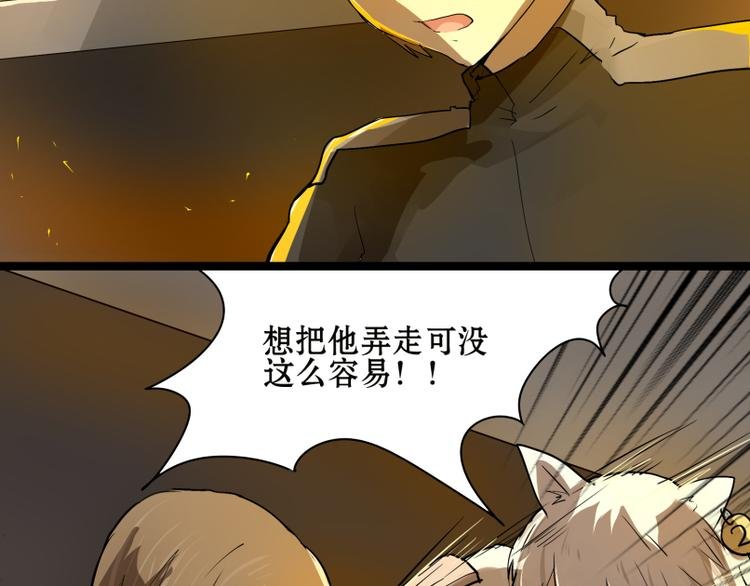 完结篇：猫，我不想失去你！