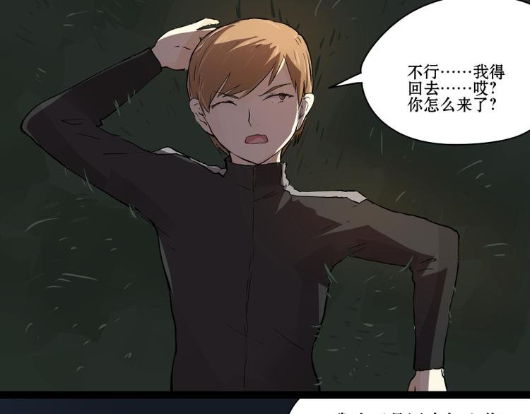 完结篇：猫，我不想失去你！