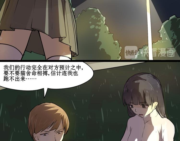 完结篇：猫，我不想失去你！