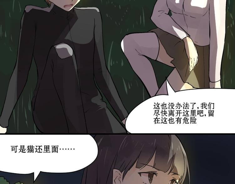 完结篇：猫，我不想失去你！
