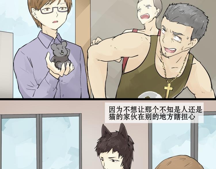 完结篇：猫，我不想失去你！
