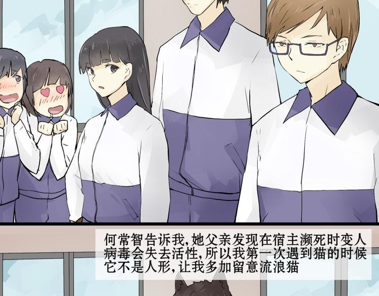 完结篇：猫，我不想失去你！