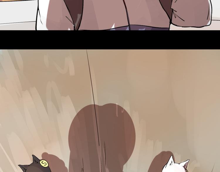 完结篇：猫，我不想失去你！