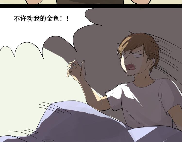 第7话 我的金鱼！！