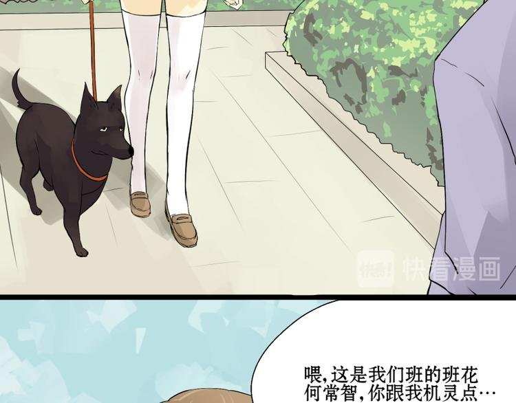 第8话 猫狗相遇