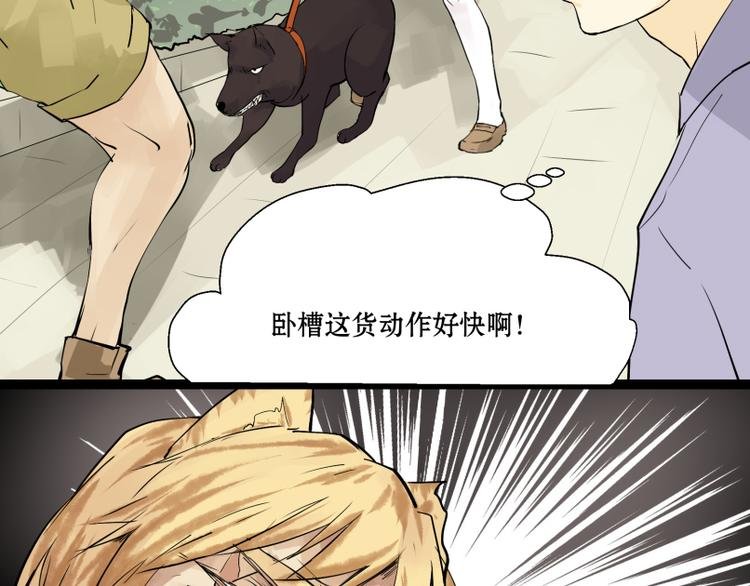 第8话 猫狗相遇