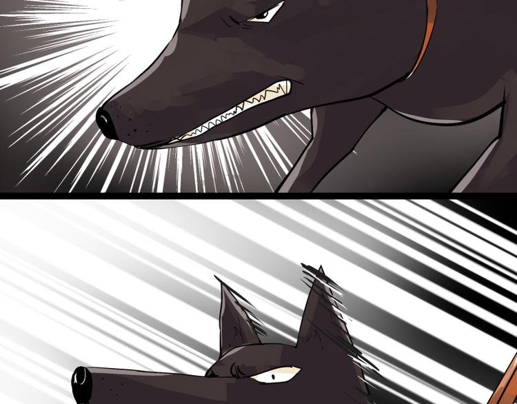 第8话 猫狗相遇