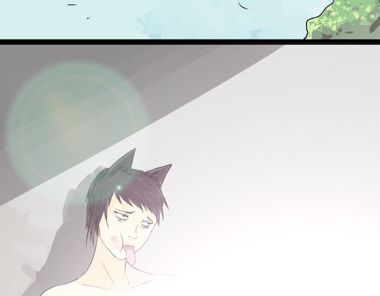 第8话 猫狗相遇