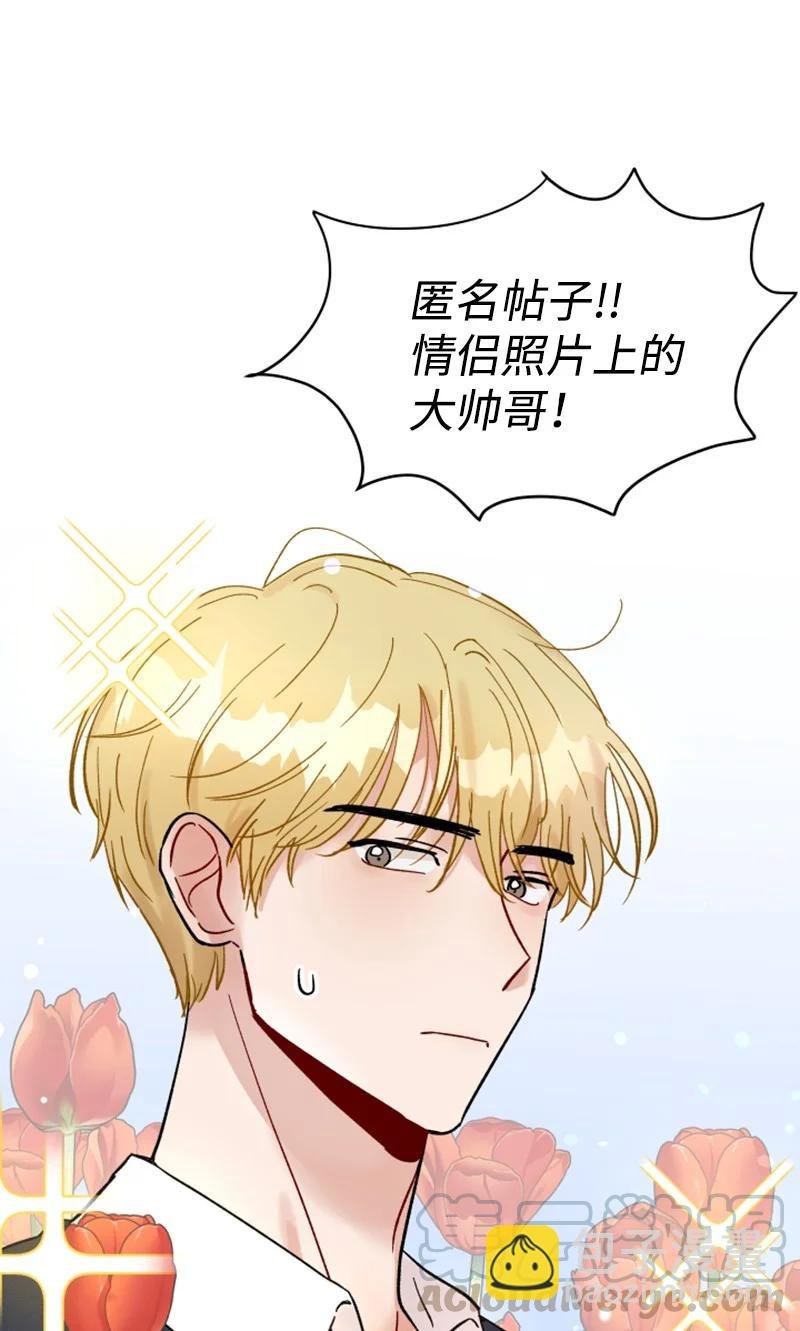12 精灵的真面目