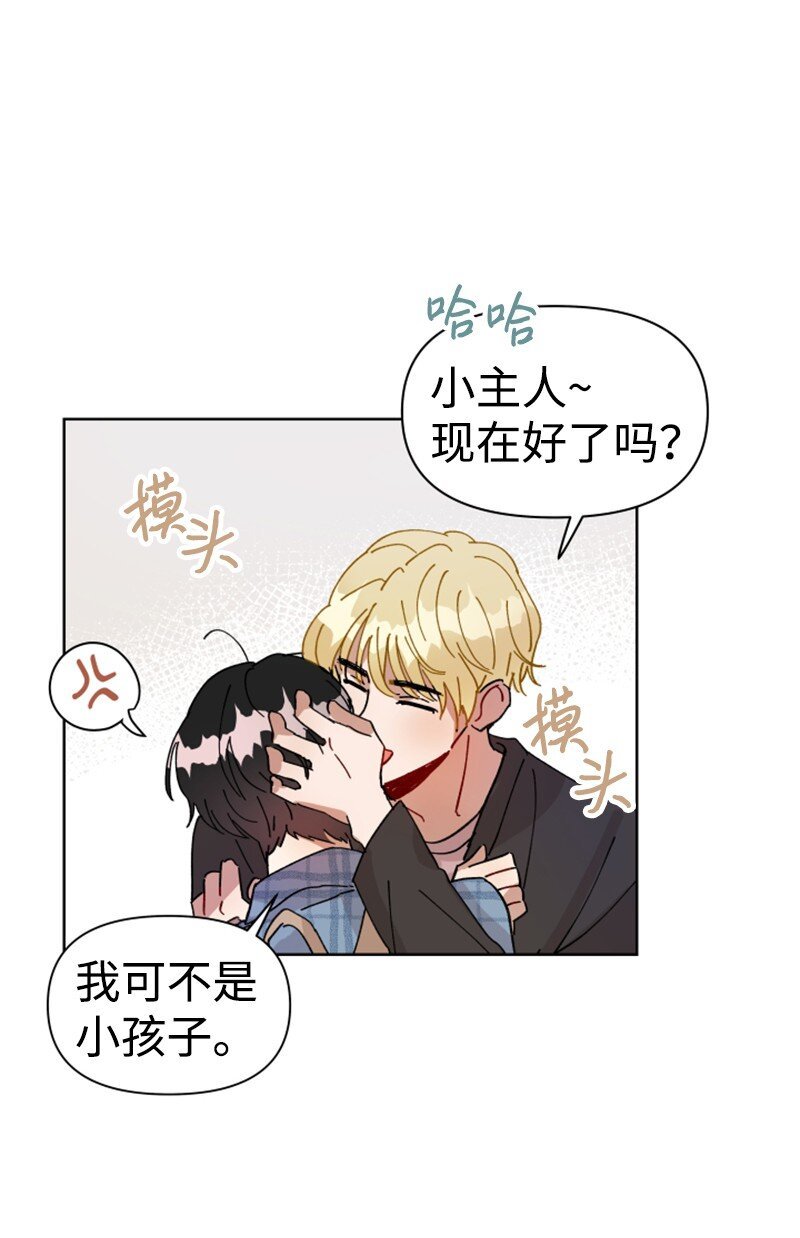 02 灯神公司